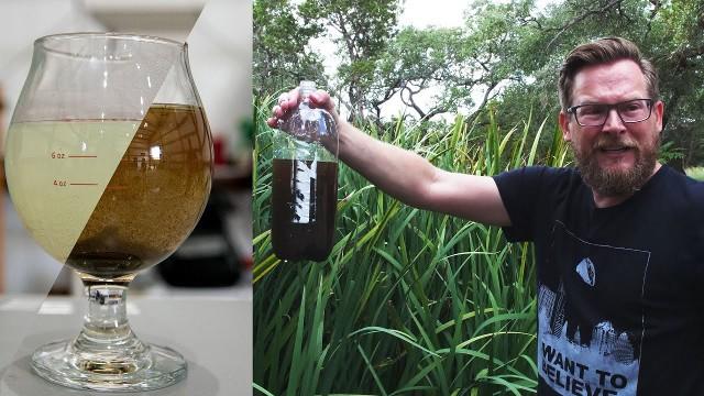 Drinking Worm-Infested Bog Water