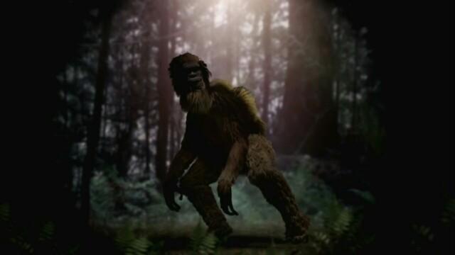Bayou Bigfoot