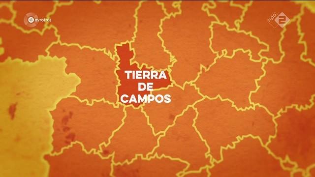 Het Spaanse Graan van Tierra de Campos