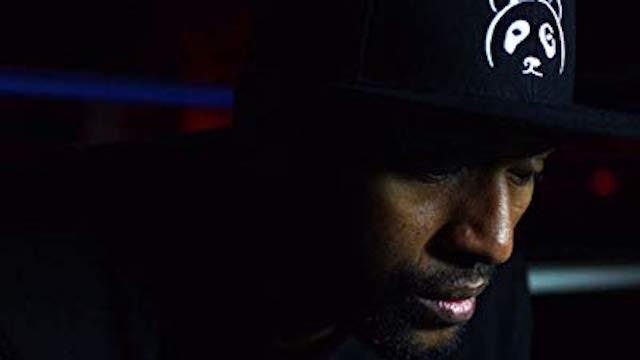 Quiet Storm: The Ron Artest Story