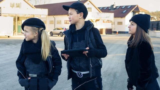 Fallet: Den stulna hästen