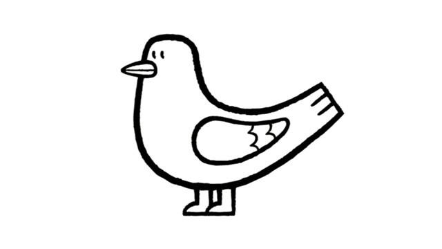un pigeon