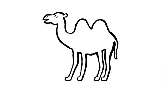 un chameau