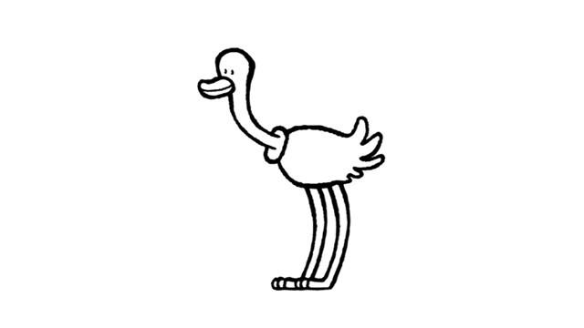 une autruche