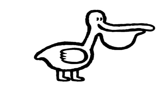 un pélican