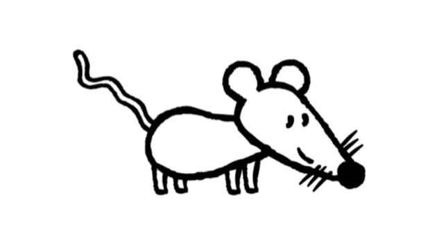 une souris