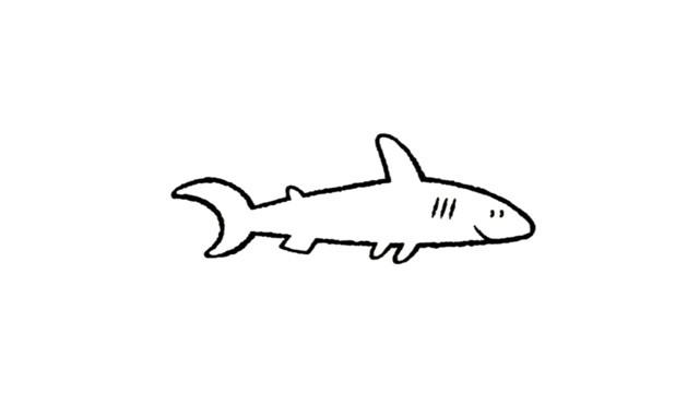 un requin