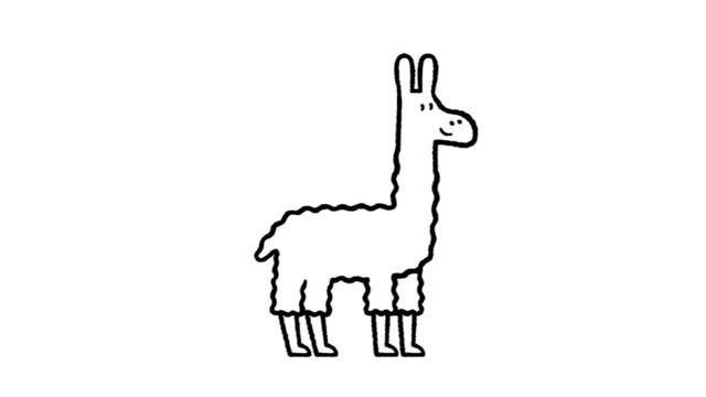un lama