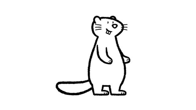 une marmotte