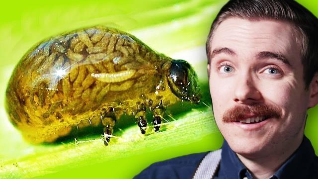 This Strange Little Creature Can Do Something Impossible