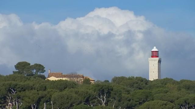 Le 13 heures du dimanche 3 janvier 2021