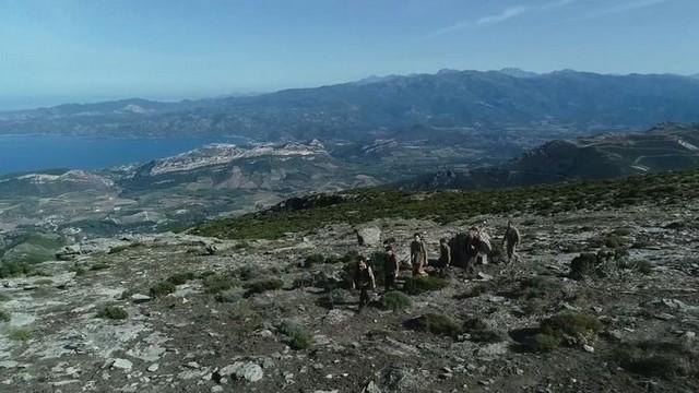 The Liberation of Corsica