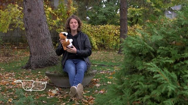 Le prix pour faire l'acquisition d'un chien de race / La gestion de risque d'une action collective