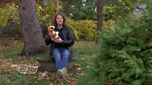 Le prix pour faire l’acquisition d’un chien de race/La gestion de risque d’une action collective