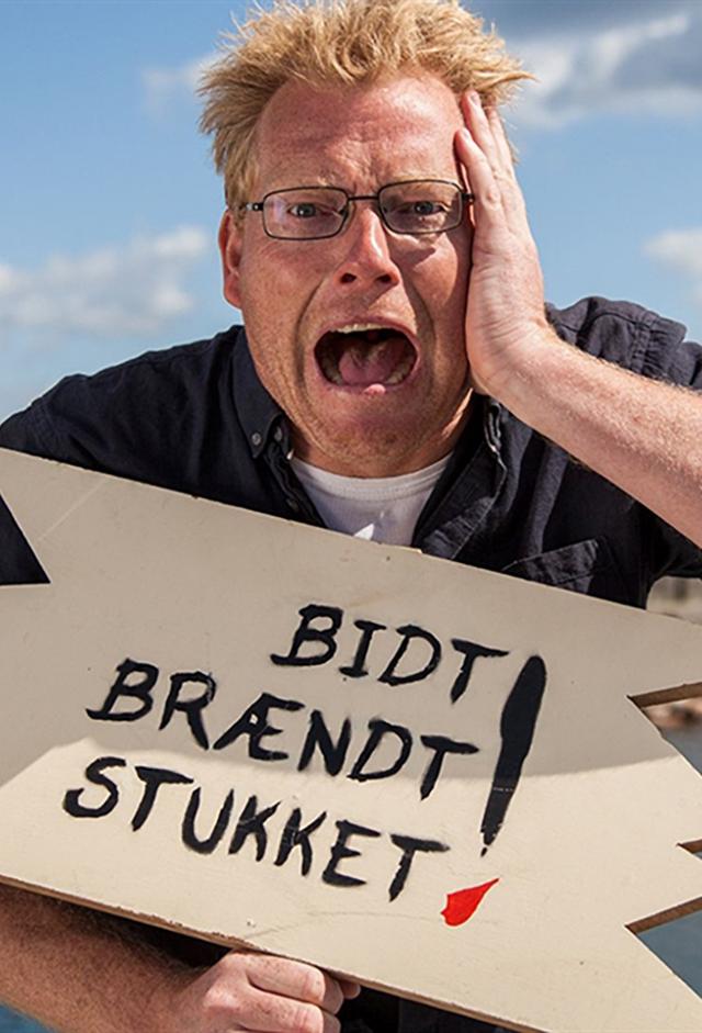 Bidt, brændt og stukket