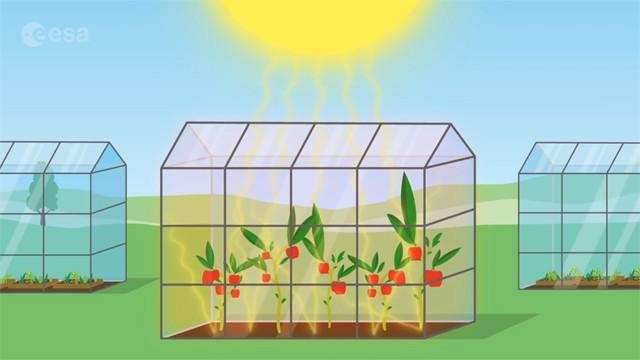 The Greenhouse Effect