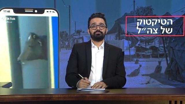 The IDF's TikTok