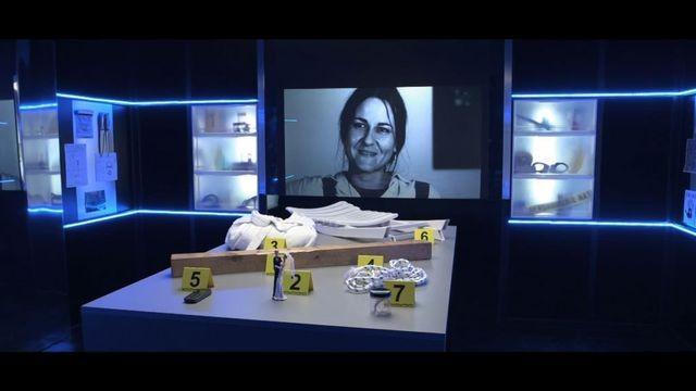 Der Fall Chantal Ternik