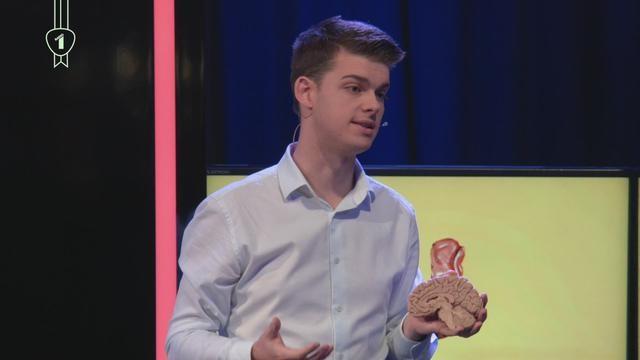 Doodt Alzheimer méér dan herinneringen?