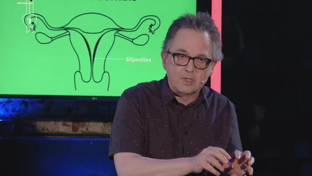 Wat hebben stenen en kamelen met het spiraaltje te maken?
