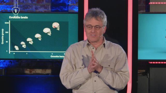 Hoe kan je de gedachten van anderen lezen?