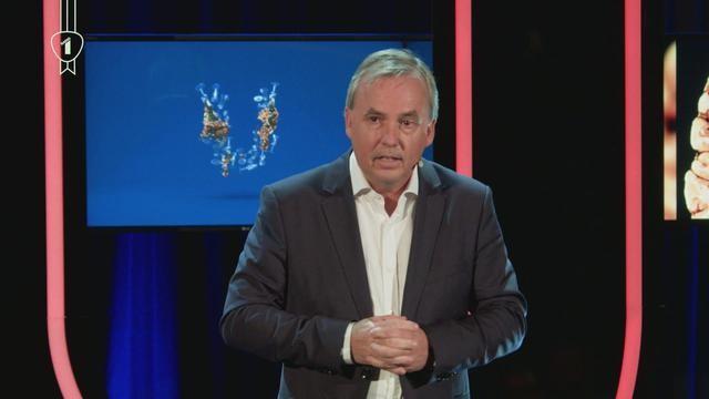 Waarom is er meer MS in België dan in Costa Rica?