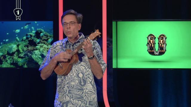 Waarom mag je niet op een koraal gaan zitten?