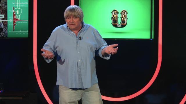 Hoe zijn dinosaurussen nu echt uitgestorven?