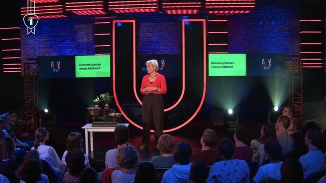 Kunnen planten stress hebben?
