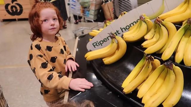 LARGE VEGAN FAMILY GROCERY SHOPPING + HAUL
