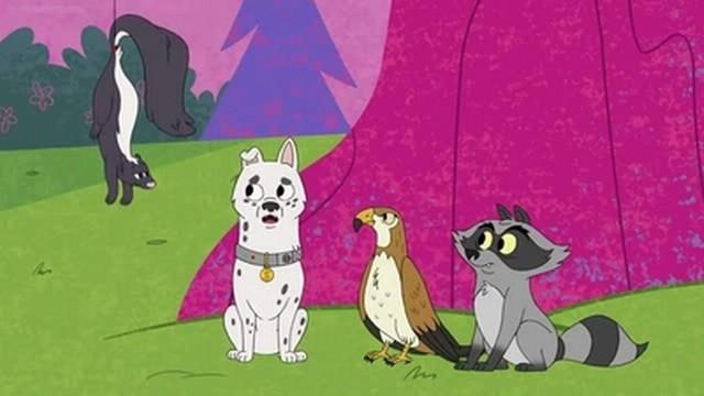 Ruffspringa