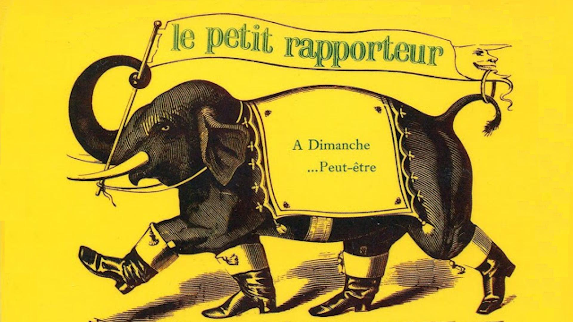Le petit rapporteur