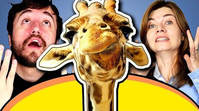 THE DISCIPLINE GIRAFFE!