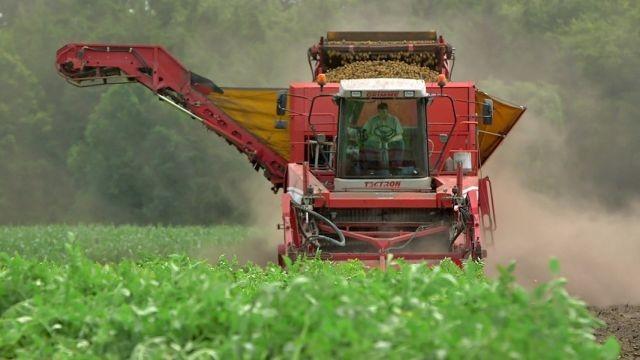 Made in Norddeutschland – Mit Kartoffeln zum Weltmarktführer – Die Landmaschinen von Grimme