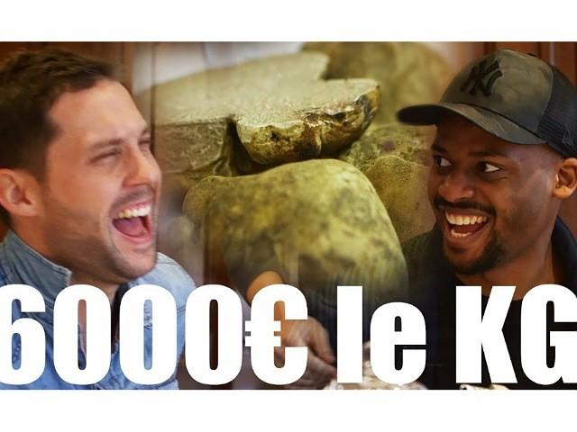 Champignon 4€ VS 6000€ avec Jérémie Dethelot