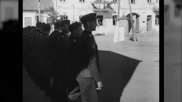 Foreign Fighters Part 1 - The Non-German Germanics Fighting for Hitler