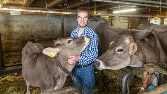 Die Hofwochen - Folge 4