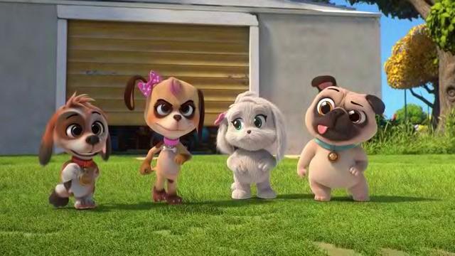 Qual è il cane migliore?