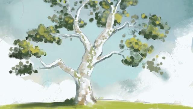 The Sycamore Tree