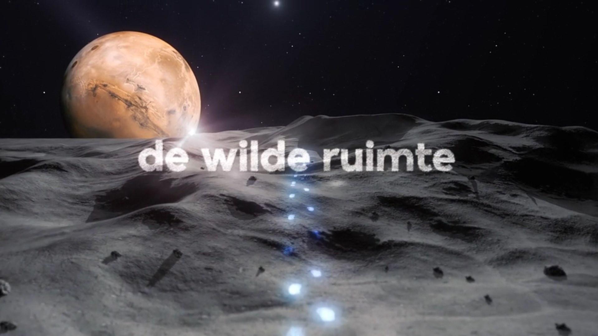 De Wilde Ruimte