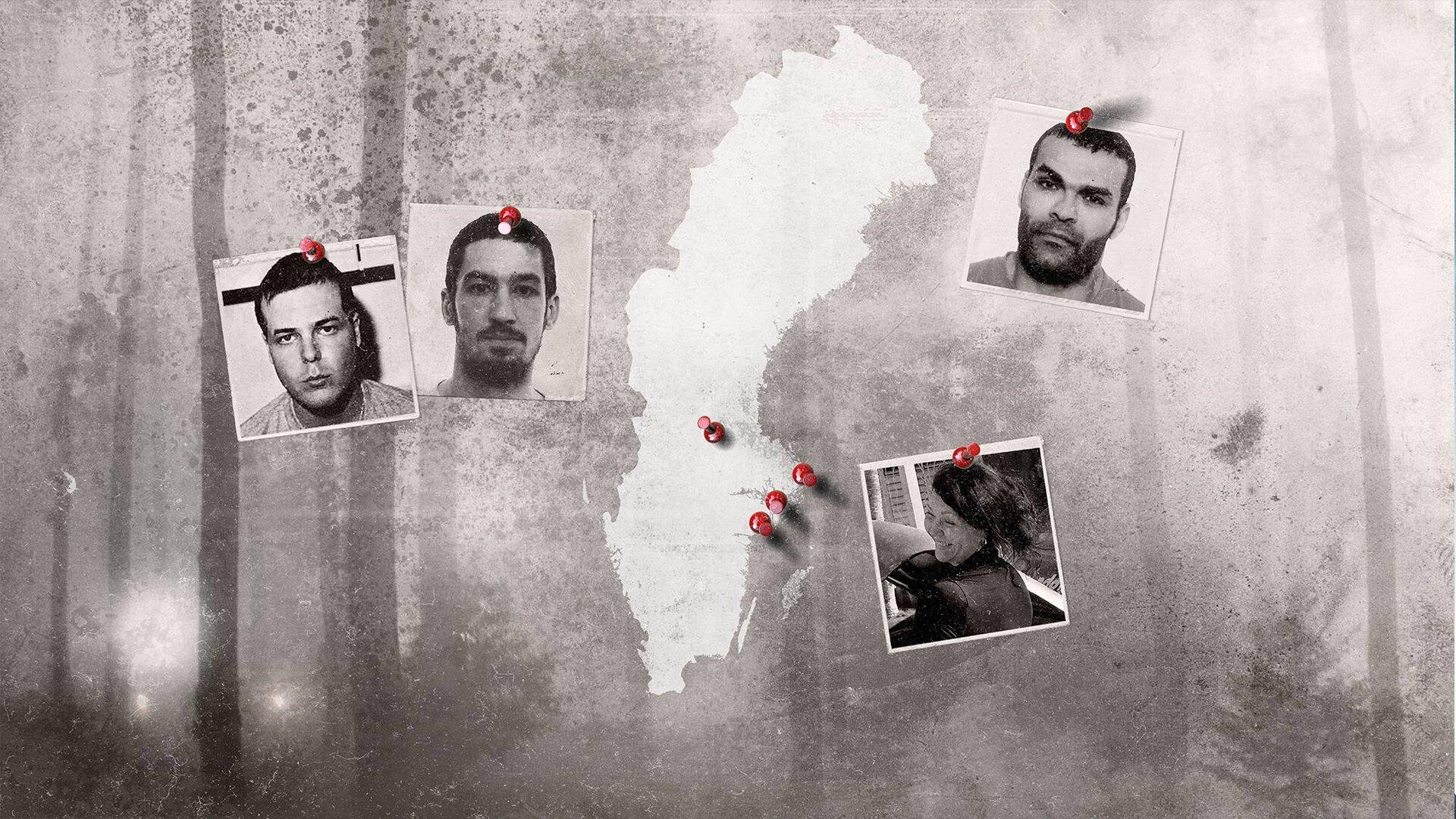 Swedish Crime Cases