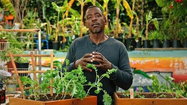 Grow Your Own Food: Greens & Legumes