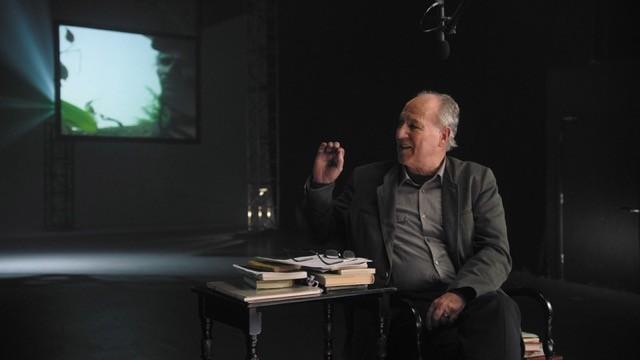 Documentary: Truth in Nonfiction