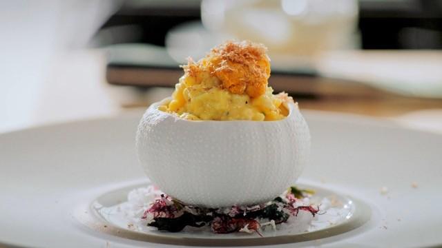 Make: Elevated Scrambled Eggs