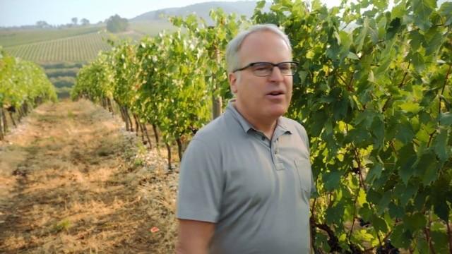 Tasting Techniques: Conducting a Blind Tasting