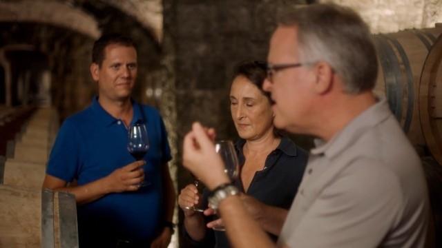 Primary Factors of Influence: In the Vineyard