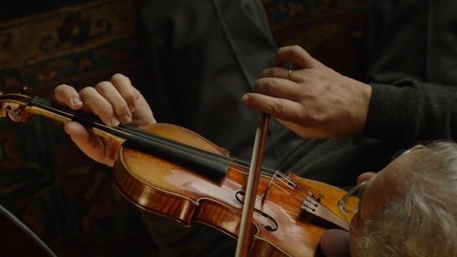 The Bow