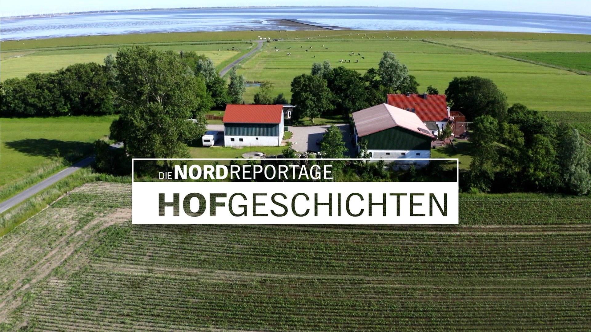 Hofgeschichten