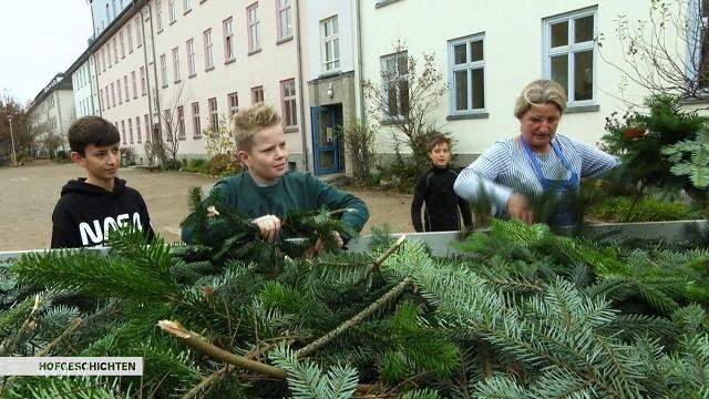 Tannengrün fürs Klassenzimmer