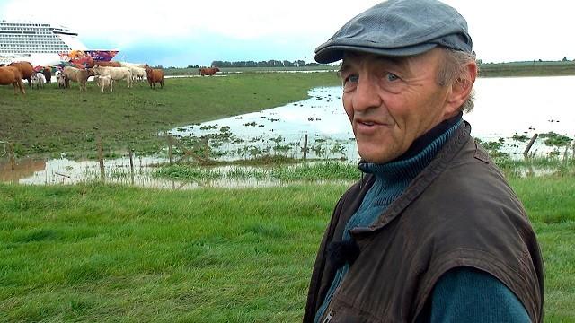 Warnwesten für die Hühner